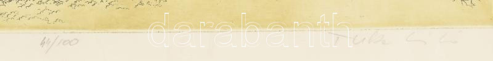 Tuka László (1924-2007): Vaddisznó. Színes rézkarc, papír, jelzett, számozott (44/100). Paszpartuban...