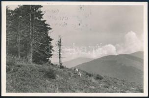 ~ 1940