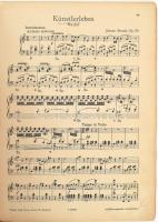 Im Walzer Paradies die bekanntesten Walzer von Johann Strauss, 71p