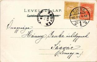 1903 Fiume, Rijeka; Via del Lido. Mehner &amp; Maas montage frame (kopott sarkak / worn corners)