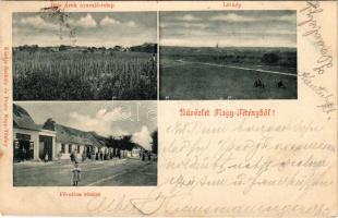 1900 Budapest XXII. Nagytétény, Nagy-Tétény; Diósárok (Diós árok) nyaralótelep, látkép, Fő utca, Tóth József cipész, Szakály Károly üzlete. Szakály és Pentz kiadása (Rb)