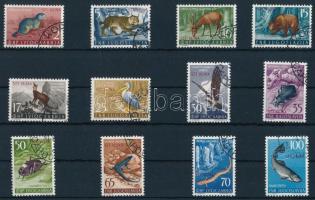 Animals set, Állatvilág sor