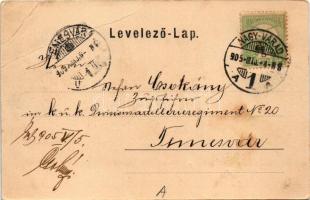 1905 Nagyvárad, Oradea; Ezredévi Emléktér / square, park (fa)