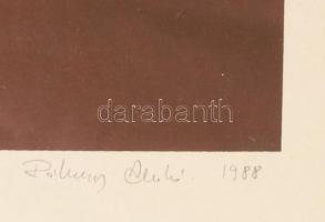 Rákosy Anikó (1948-): Tükörben, 1988. Szitanyomat, papír, jelzett, művészpéldány EA jelzéssel, üvege...