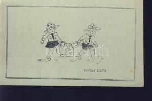 Viribus Unitis s: Bajó E.