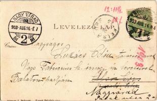 1903 Szoyer Ilonka. Kossak felvétele után (EK)