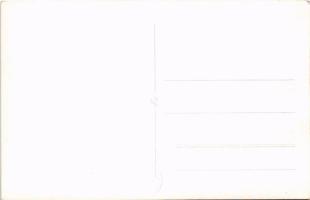 Gyilkos-tó, Ghilcos, Lacul Rosu; Tó környéke, birkák. Foto Ambrus / around the lake, sheep. photo (g...