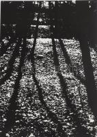 G. Szántó András (1937-2002): Avar. Fotó, papír, kartonon, hátoldalán pecséttel jelzett, kis kopottsággal, 38x28 cm