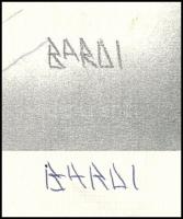 Bardi jelzéssel: Hölgy a Parlamentnél. Nyomat, papír, gyűrődéssel, 24x33,5 cm