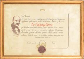 1991 Magyar Anatómusok, Hisztológusok és Embriológusok Társasága oklevele
Hattyasy Dezső (1901-1997...