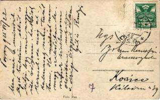 1925 Dévény, Theben a. d. Donau, Devín (Pozsony, Bratislava); vár, Duna part. Foto Fon / castle, riv...