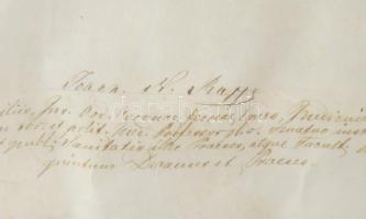 1874 Kovaltsik István gyógyszerész diplomája (Artis Pharmaceuticae Magistrum), latin nyelven, a címk...