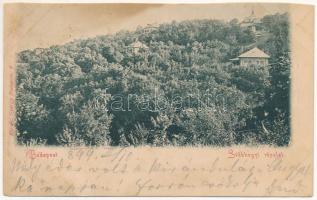 1899 (Vorläufer) Budapest XII. Svábhegyi részlet, villák. Károlyi György kiadása (b)