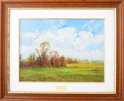 Radnai József (1958-): Zápor lesz. Olaj, farost, jelzett, dekoratív fakeretben 30×40 cm