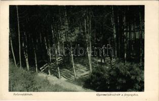 Balatonföldvár, Gyermek játszótér a fenyvesben