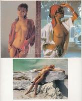 22 db MODERN postatiszta erotikus motívum képeslap: meztelen nők. Képzőművészeti Alap / 22 modern unused erotic motive postcards: nude women