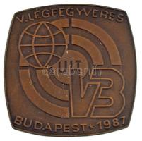 1987. "V. Légfegyveres VB - Budapest 1987" egyoldalas bronz emlékplakett (62x63mm) T:XF