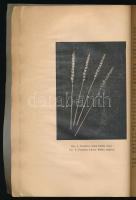 Mazurkiewicz, Zygmunt: Hodowla roślin i gospodarstwa nasienne braci Kleszczyńskich opis organizacji ...