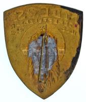 1938. "MDEOSZ Székesfehérvár (Magyar Dalos Egyesületek Országos Szövetsége)" bronz fém jel...