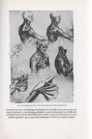 Szentágothai János ünneplése. (Számozott emlékkönyv.)
[Budapest], (1987). (Akadémiai Kiadó és Nyomd...