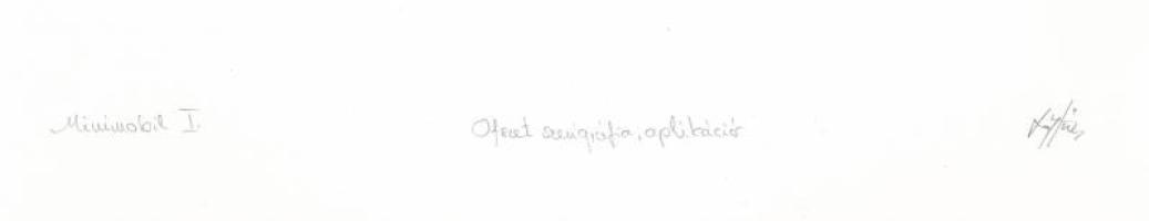 Kovács Tamás László (1964-2020): Minimobil I. Ofszet, szerigráfia, applikáció, papír. Jelzett. 28,5x...