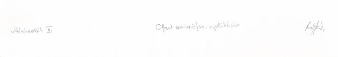 Kovács Tamás László (1964-2020): Minimobil II. Ofszet, szerigráfia, applikáció, papír. Jelzett. 28,5...