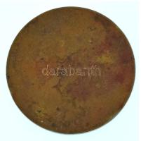 Zsákodi Csiszér János (1883-1953) 1928. "Magyar Anyák Nemzeti Ünnepe" egyoldalas bronz eml...