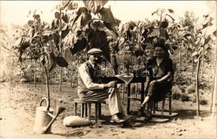 1942 Kiskert művelés, árnyék az óriás napraforgók alatt / Gardening, sitting in the shade of sunflowers. photo