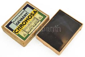 1932 Endresz György (Georg Endres) (1893-1932) pilóta, repülőoktató, valamint Bitay Gyula (1901-1932) repülőtiszt ünnepélyes búcsúztatásáról és temetéséről készült felvételek. Összesen 17 db üvegnegatív, amelyből 4 negatív a magyar repülősök olaszországi búcsúztatásának felvételeit ábrázolja, az egyik képen a felvonulók élén Benito Mussolinivel (ezek előhívott fényképekről készült korabeli felvételek); 12 negatívon a Budapesten ünnepélyes keretek között tartott temetés felvételeivel: a Lánchídon átvonuló gyászmenet a koporsóval, Horthy Miklós kormányzó magas rangú vendégek társaságában, az Andrássy úton és a Budai Vár mellett elhaladó automobilok, stb.; egy felvételen pedig egy azonosítatlan lakásbelső látható. Korabeli kartondobozban, fedelén ,,Endres temetés" felirattal, 9x12 cm méretben.  Endresz György a ,,Justice for Hungary" nevű repülőgép pilótájaként 1931. júliusában Magyar Sándor navigátorral rekordidő alatt, magyarok közt elsőként (világszinten tizenötödikként) repülte át az Atlanti-óceánt, amellyel hatalmas hírnevet szerzett. Egy évvel később, 1932. május 22-én Rómában tartották az Óceánrepülők Világkongresszusát, amelyre Endresz is meghívást kapott. Május 21-én Bitay Gyulával közösen repült Rómába (miután Magyar Sándor nem tudott részt venni az eseményen), azonban a római Littorio repülőtéren leszállás közben balesetet szenvedtek, és mindketten életüket vesztették. Olaszországban ünnepélyes keretek között búcsúztatták a két magyart, a temetésre pedig pár nappal később Budapesten került sor, ahol hatalmas tömeg gyűlt össze, hogy tiszteletét tegye a tragikus körülmények között elhunyt repülősök előtt.