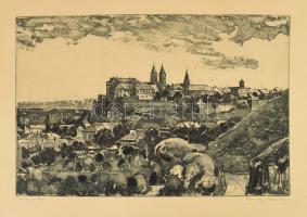 Csurgói Máté Lajos (1931-2001): Veszprém, rézkarc, papír, kartonra kasírozva, jelzett, kissé hullámos, lapszéli apró folttal, 28×41 cm