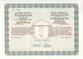 Ózd 1990. "Ózdi Acélmű Részvénytársaság" részvénye 100.000Ft-ról, szelvényekkel T:AU