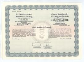 Ózd 1990. "Ózdi Acélmű Részvénytársaság" részvénye 100.000Ft-ról, szelvényekkel T:AU
