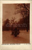 1917 Kolozsvár, Cluj; sétatér télen / promenade in winter. photo (EB)