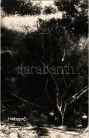 Marosfő, Izvoru Muresului; A Maros folyó eredete / Source of river Mures. photo