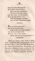 Krieger, Ernst Thomas Theodor: 
Toaste bei der Jagd zu Dobra im Zempliner Comitat am Fusse der Besk...