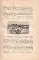 Baeblich, H[ermann]: Die Archive der Vorwelt. Gemeinfassliche Darstellung der Entstehung und Entwick...