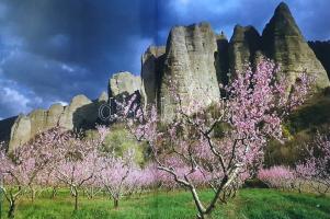 Naturerbe Europa. Alte Welt - Neue Chancen. [Európa természeti kincsei. A WWF Németország természetv...