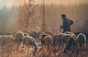 Naturerbe Europa. Alte Welt - Neue Chancen. [Európa természeti kincsei. A WWF Németország természetv...