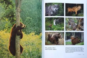 Naturerbe Europa. Alte Welt - Neue Chancen. [Európa természeti kincsei. A WWF Németország természetv...