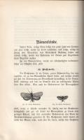 Alfonsus, Alois: Allgemeines Lehrbuch der Bienenzucht. Verfasst und herausgegeben von Alois Alfonsus...