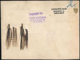 cca 1930-1940 Szendrő István (1908-2000): Rendőrök, rendőrkisasszony, pecséttel jelzett fotó, 17,5×2...