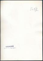 cca 1930-1940 Szendrő István (1908-2000): Balett-táncos fátyollal, pecséttel jelzett fotó, 23×17,5 c...