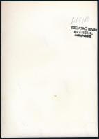 cca 1930-1940 Szendrő István (1908-2000): Palotaőrök, pecséttel jelzett fotó, 23×17,5 cm cm