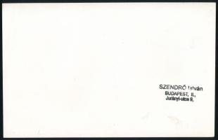 cca 1930-1940 Szendrő István (1908-2000): Budapest látképe a Gellért-hegyről, pecséttel jelzett fotó...