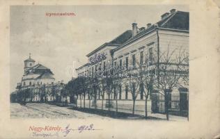 Nagykároly secondary school and church (EB)
