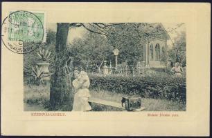 Kézdivásárhely Molnár Józsiás park (fa)