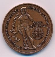 Fritz Mihály (1947- ) 1996. "Szent-Györgyi Albert Orvostudományi Egyetem - Traumatológiai Klinika / A 30 éves Magyar Traumatológus Társaság Jubileumi Vándorgyűlése - Polytrauma" bronz emlékérem (42,5mm) T:UNC