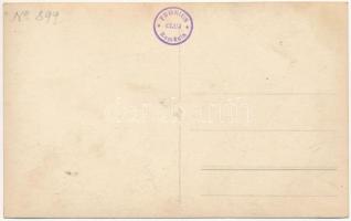 Kolozsvár, Cluj; Juhnyáj a pásztorral. Foto Fronius (Cluj) / sheep with the shepherd. photo (fl)