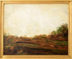 Magyar Mannheimer Gusztáv (1859-1937): Táj. Olaj, falemez. Jelezve jobbra lent. Dekoratív fakeretben. 40x51 cm