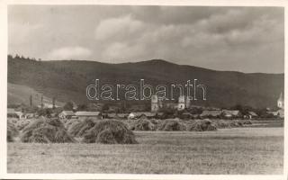 Diósgyőr várrom photo